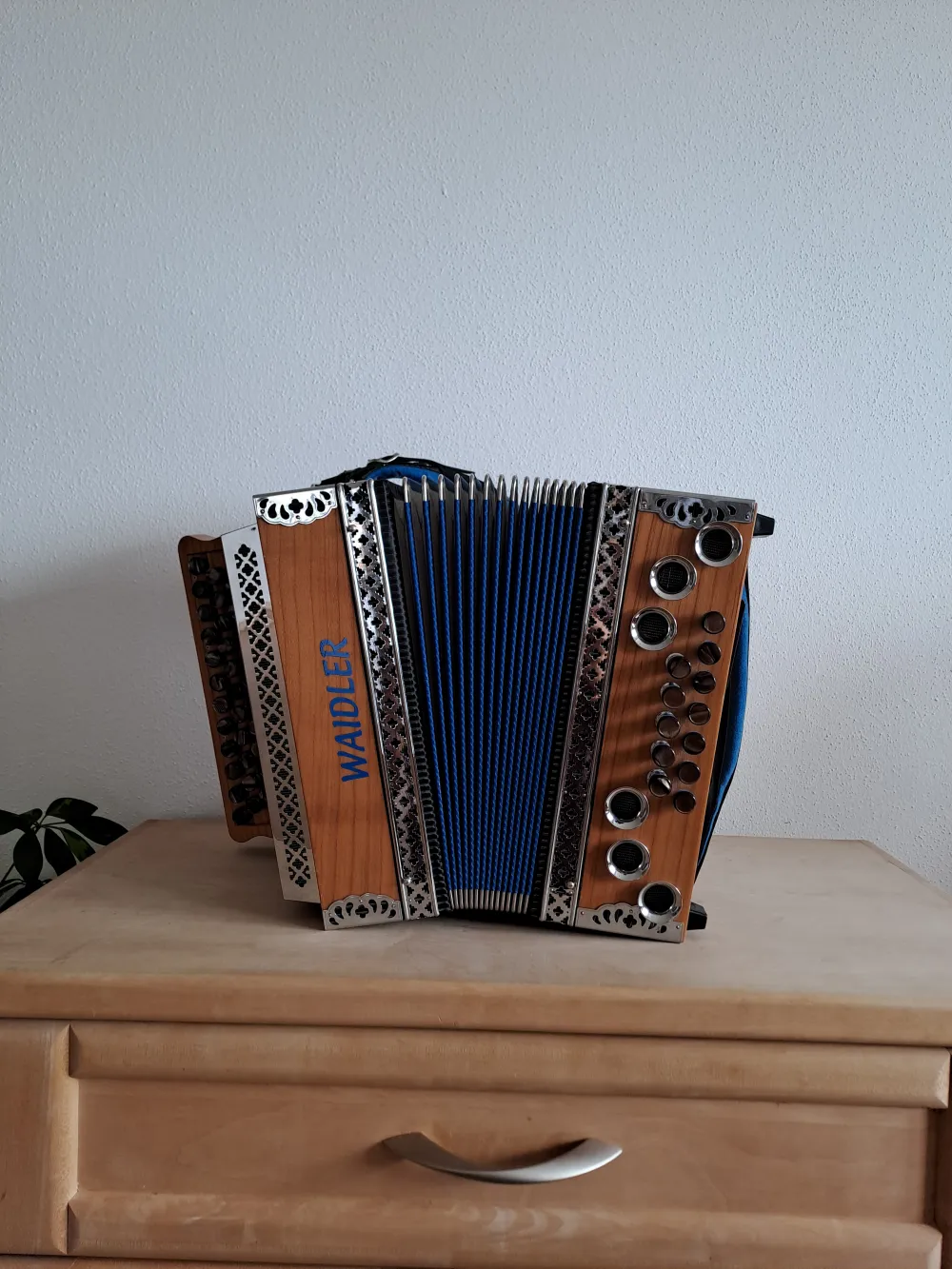 Waidler Junior 3, Steirische Harmonika inkl. Koffer