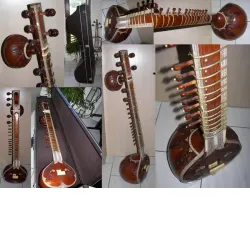 Verkaufe eine professionelle indische Sitar im Ravi Shankar Style mit Koffer